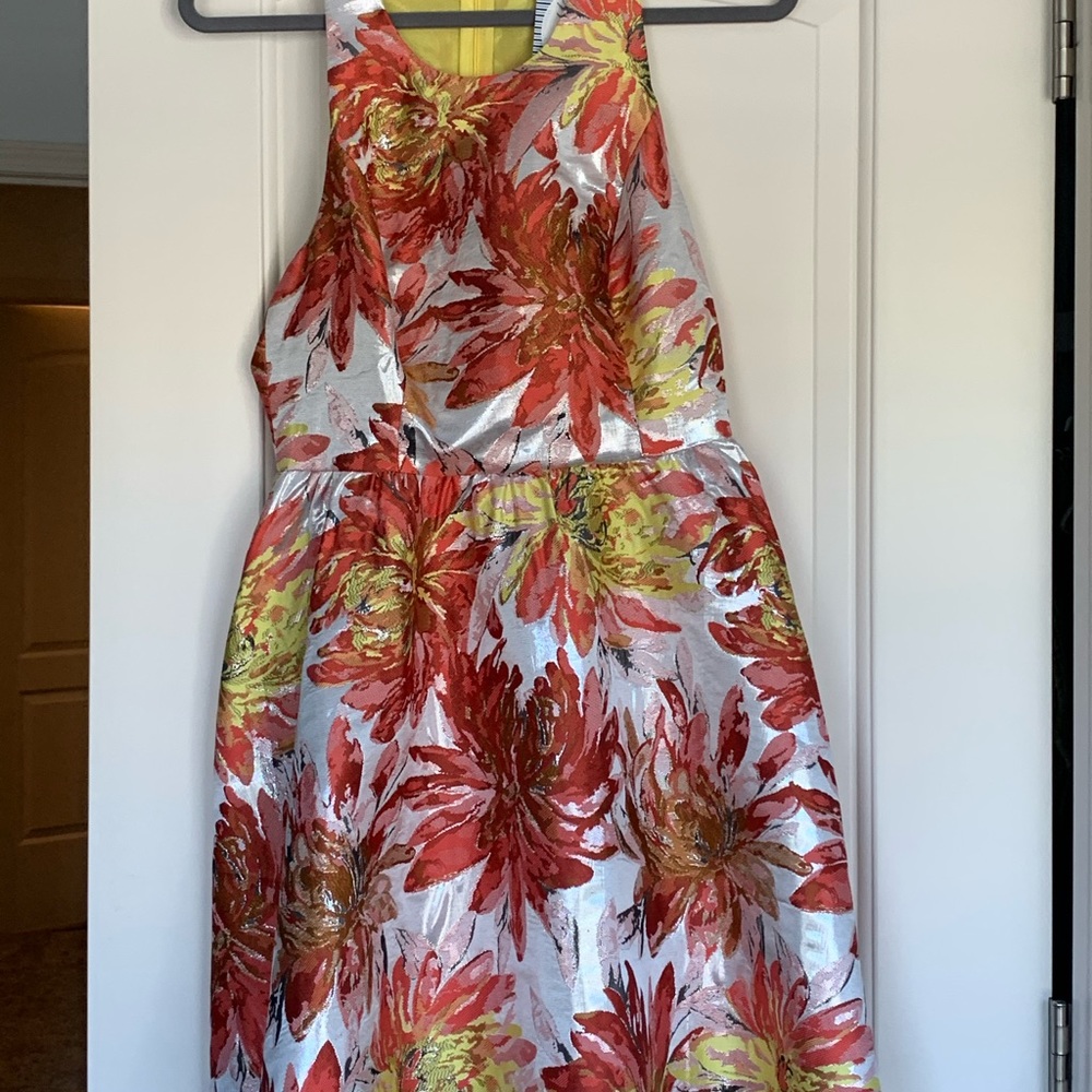 Adorable Ark and Co Mini Dress